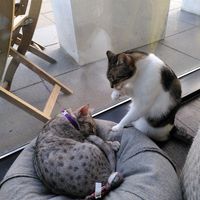  at Miau Grau in Warsaw