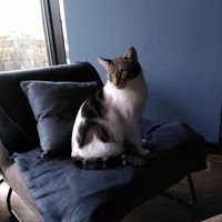  at Miau Grau in Warsaw