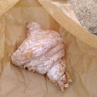 Chocolate croissant at Santa Vegana in Barcelona