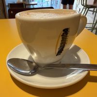 Mocha   at Santa Vegana in Barcelona