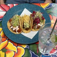   at El Catrín in Geneva