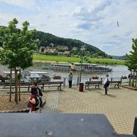 Blick vom Restaurant at Hotel Steiger Kurort Rathen in Rathen