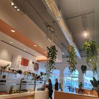  at Vibe Organic Kitchen & Juice in Costa Mesa