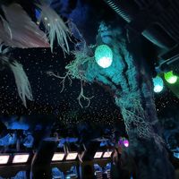   at Mothership in San Diego