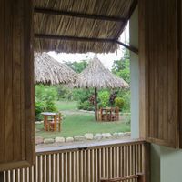 View from the window   at Veggie Kitchen in Palomino