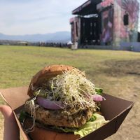 Vegan burger   at Butcher & Sons in Mexico City