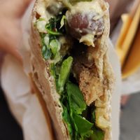  at Vegan Come Koala in Pisa