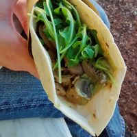 Vegetable and seitan wrap at Vegan Come Koala in Pisa
