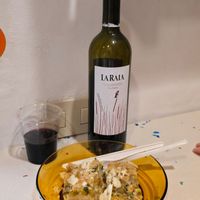 Vegan lasagna and wine  at Vegan Come Koala in Pisa