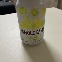 Vegan organic lemonade   at Vegan Come Koala in Pisa
