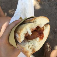 Tofu dog with delicious warm bread, sauerkraut, ketchup, vegan cheese  at Vegan Come Koala in Pisa