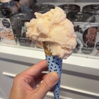 Red grapefruit! Finally, last time they were out.  at Aroma Gelato Boutique in Zadar