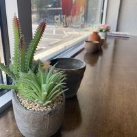 Nice atmosphere    at Bobalicious in North Little Rock