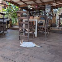  at Dancing Cup in Kampala