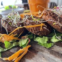 falafel  at Café Mogagua in Isla Mujeres