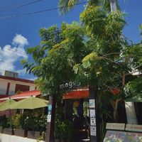   at Café Mogagua in Isla Mujeres