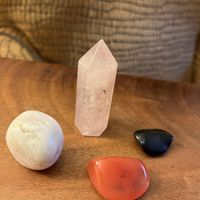   at Nest in Clarksville