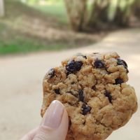 Cookie vegana de cacahuete y chocolate at Cafe Perle in Toulouse