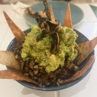   at Shambala Lounge Bar in Cuenca