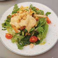 Vegan salad at Shambala Lounge Bar in Cuenca