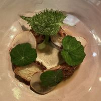 Starter - Jerusalem artichoke and portobello mushroomms  at Natur in Gothenburg