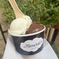 Coconut and chocolate   at Marshall's Gelato in Kotor