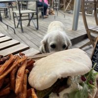   at Gaia Natural Food in Hyeres