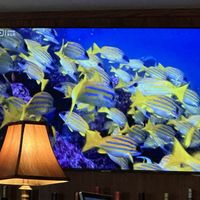 Enjoyable to watch.  at The Tropical Bar and Restaurant in Tulsa