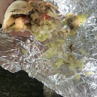 vegan bomb in pita  at Little Aladdin in Mansfield