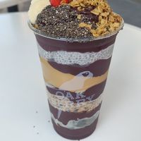 The oak at Oakberry - Via Caradosso in Milan