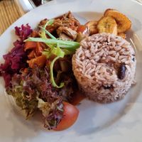 Pulled jackfruit at Kool Runnings Jamaican Restaurant in Inverness