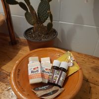  at A Pousada Vegana in Peruibe