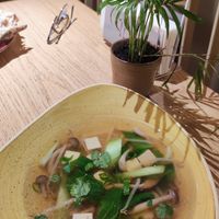 the veg stock soup at Taj in Krakow