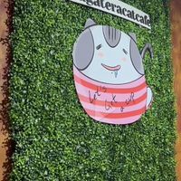   at La Gatera - Cat Café in Murcia