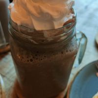  at La Gatera - Cat Café in Murcia