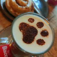  at La Gatera - Cat Café in Murcia