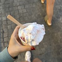 Cream and fruits vegan ice cream!  at Lodziarnia Rinella Gelato in Krakow