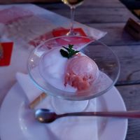 Tropical and lemon sherbet at Gasthof zur Traube in Grein