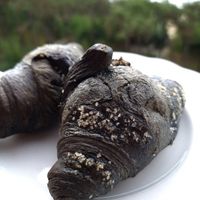  at Alla Fontana in Caorle