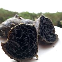  at Alla Fontana in Caorle