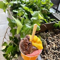   at Venchi Gelato and Chocolate in Milan