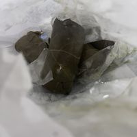 Dolmas at Ben & Esther's Vegan Jewish Deli in Oceanside