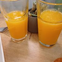  at Falafel Box in Tbilisi