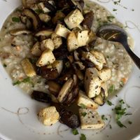 Mushroom risotto with tofu  at Toca do Júlio in Colares