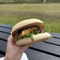   at The Hungry Veggie in Liscannor