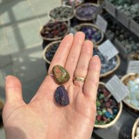   at The Hungry Veggie in Liscannor