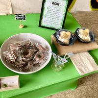 2.25.23 Pop Up 2/2  at Little Sprout - Pop Up in Charleston