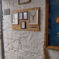 Interior at The Black Sheep Hostel & Coffee Shack in Killarney