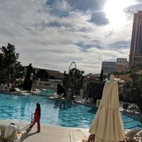 Poolside View at Wynn Hotel - Terrace Pointe Cafe in Las Vegas