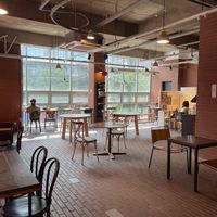 Interior. Many seats  at Coconuzm - 코코넛즘 in Seoul